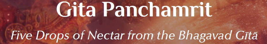 Gita Panchamrit banner